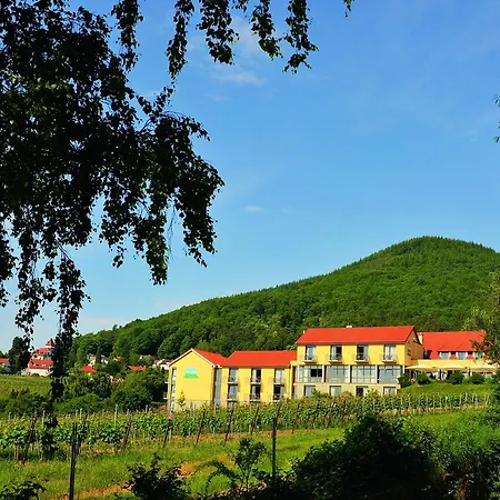 Wohlfuehlhotel Alte Rebschule 4* Rhodt unter Rietburg