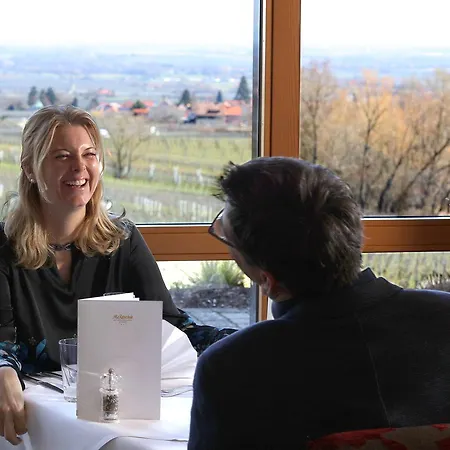 Wohlfuehlhotel Alte Rebschule Hotel 4*