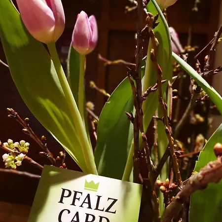 Wohlfuehlhotel Alte Rebschule Rhodt unter Rietburg