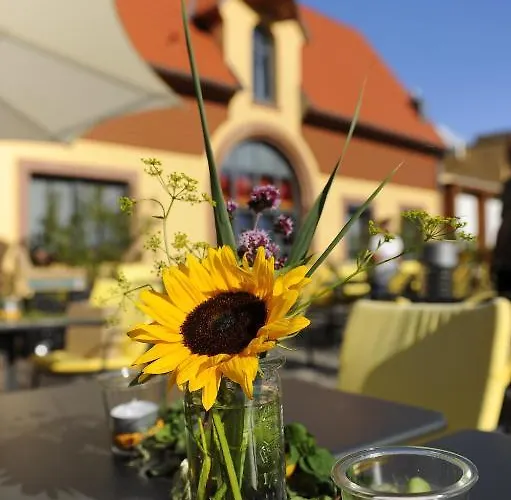 Wohlfuehlhotel Alte Rebschule Hotel