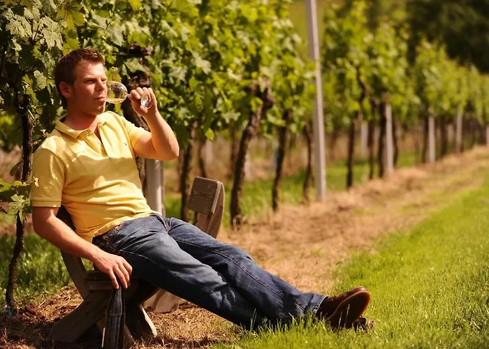 Wohlfuehlhotel Alte Rebschule Hotel 4*