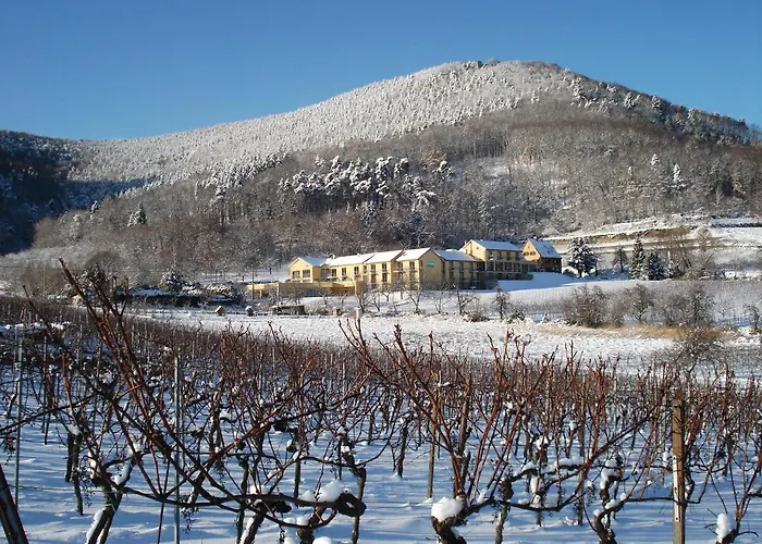 Wohlfuehlhotel Alte Rebschule Hotel