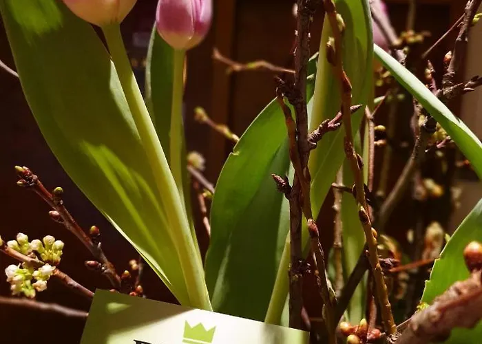 Wohlfuehlhotel Alte Rebschule Rhodt unter Rietburg